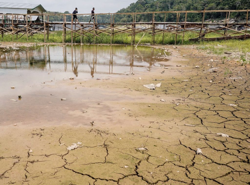 Sequía extrema y barcos varados en el río Negro, en Manaos, capital del estado de Amazonas (cortesía de Rafa Neddermeyer/Agência Brasil)