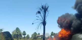 Sobrevive el piloto de una aeronave que se estrelló e incendió en Paraguay