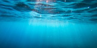 océanos temperaturas adn océanos vida marina