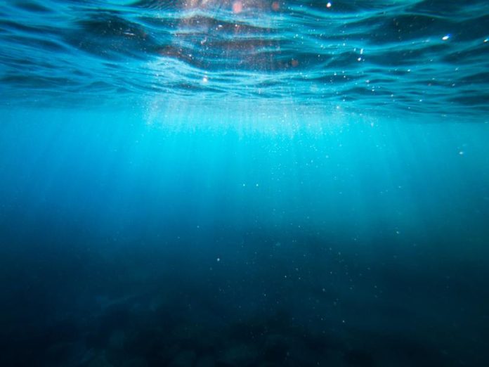 océanos temperaturas adn océanos vida marina