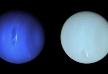 Neptuno y Urano