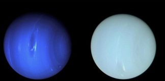 Neptuno y Urano