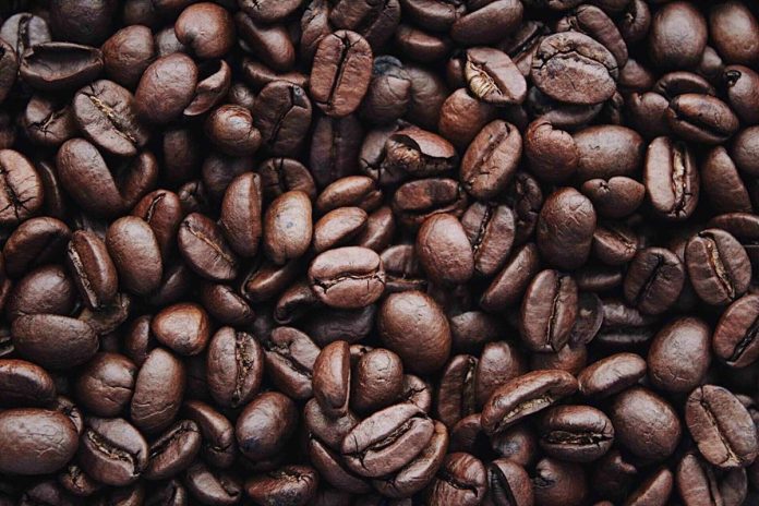 Fedeagro: El café venezolano ha perdido 80% de su calidad