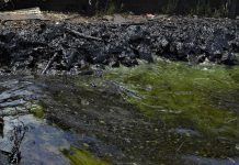 Advierten que no hay mejoría en Pdvsa para evitar derrames de petróleo