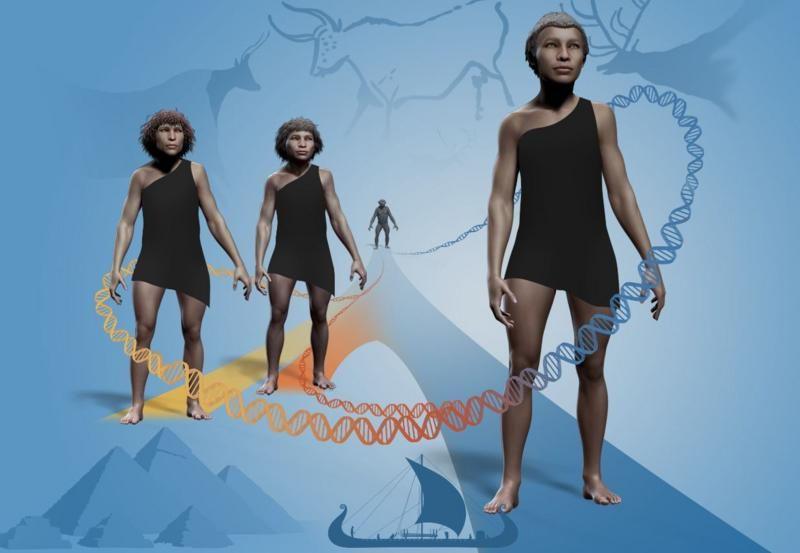 El estudio genómico de los humanos y sus ancestros es una rama científica relativamente nueva. Premio Nobel 