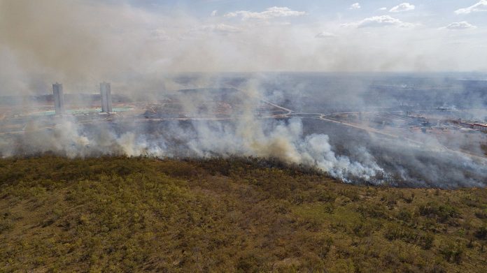 El área destruida por los incendios forestales en Brasil saltó 260,5%