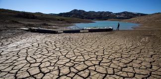 crisis climática y El Niño