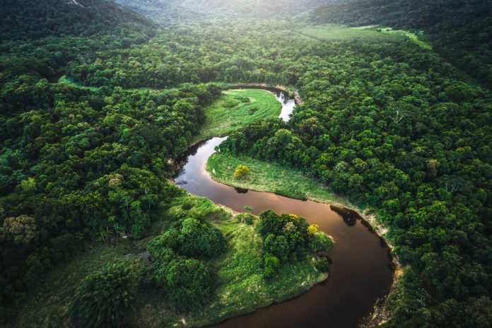 Amazonía Cambio climático