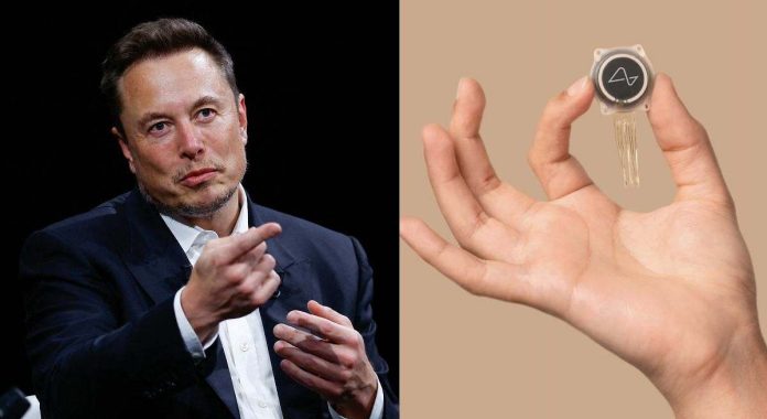 Chip Elon Musk