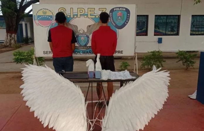 Detenido joven en Maracaibo por posar con alas de ángel