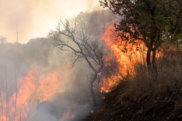 Detectan las mayores emisiones por incendios desde 2003 en Brasil, Venezuela y Bolivia