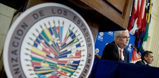 Expertos de la OEA llevarán caso de Rocío San Miguel a la CPI