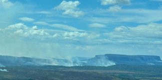Venezuela incendios forestales Incendios forestales se propagan en el Parque Nacional Canaima