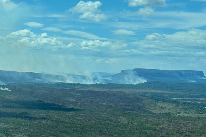 Venezuela incendios forestales Incendios forestales se propagan en el Parque Nacional Canaima
