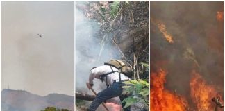 Continúan los incendios forestales en el Parque Nacional Henri Pittier