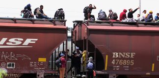 migrantes trenes