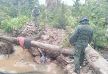 Minería ilegal en Amazonas