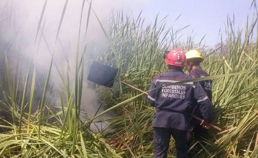 Estas son las consecuencias de los incendios forestales en Carabobo