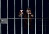 cadena perpetua presos venezuela
