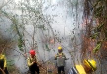 Incendios forestales en Venezuela
