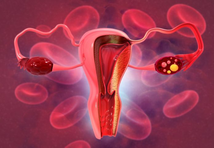 Ciclo menstrual mujeres
