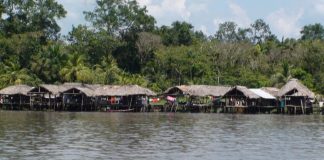 Investigan las extrañas muertes de 12 niños waraos en Delta Amacuro Reportan muerte de niños indígenas por extraña enfermedad en Delta Amacuro