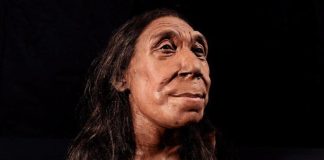 mujer neandertal