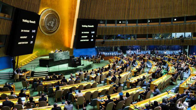 Palestina en la ONU: cinco preguntas para entender qué cambió con la resolución que le otorga más participación