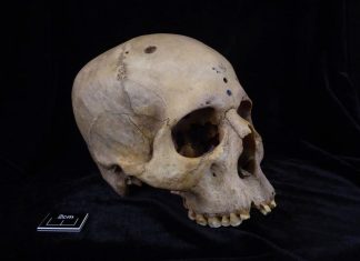 Cráneo egipcio
