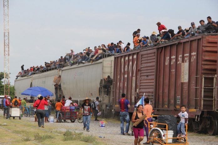 tren la bestia migrantes
