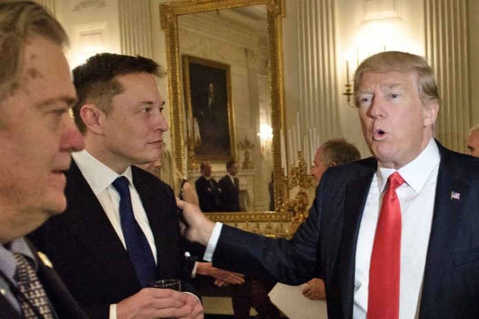 Musk y Trump