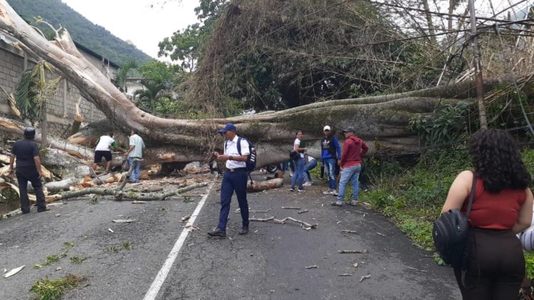 Trujillo: 230 funcionarios están desplegados para atender contingencias