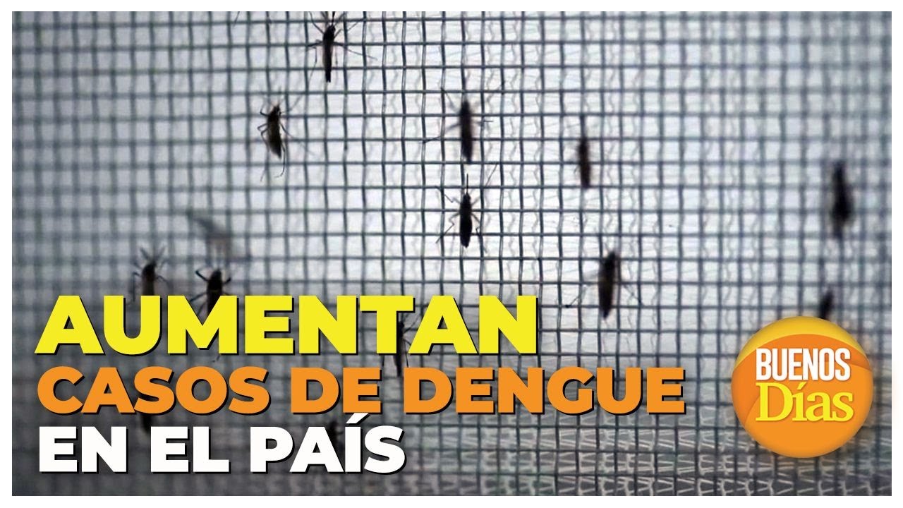 Aumentan casos de dengue en el país