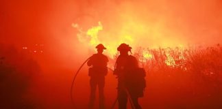 incendio forestal en Los Ángeles