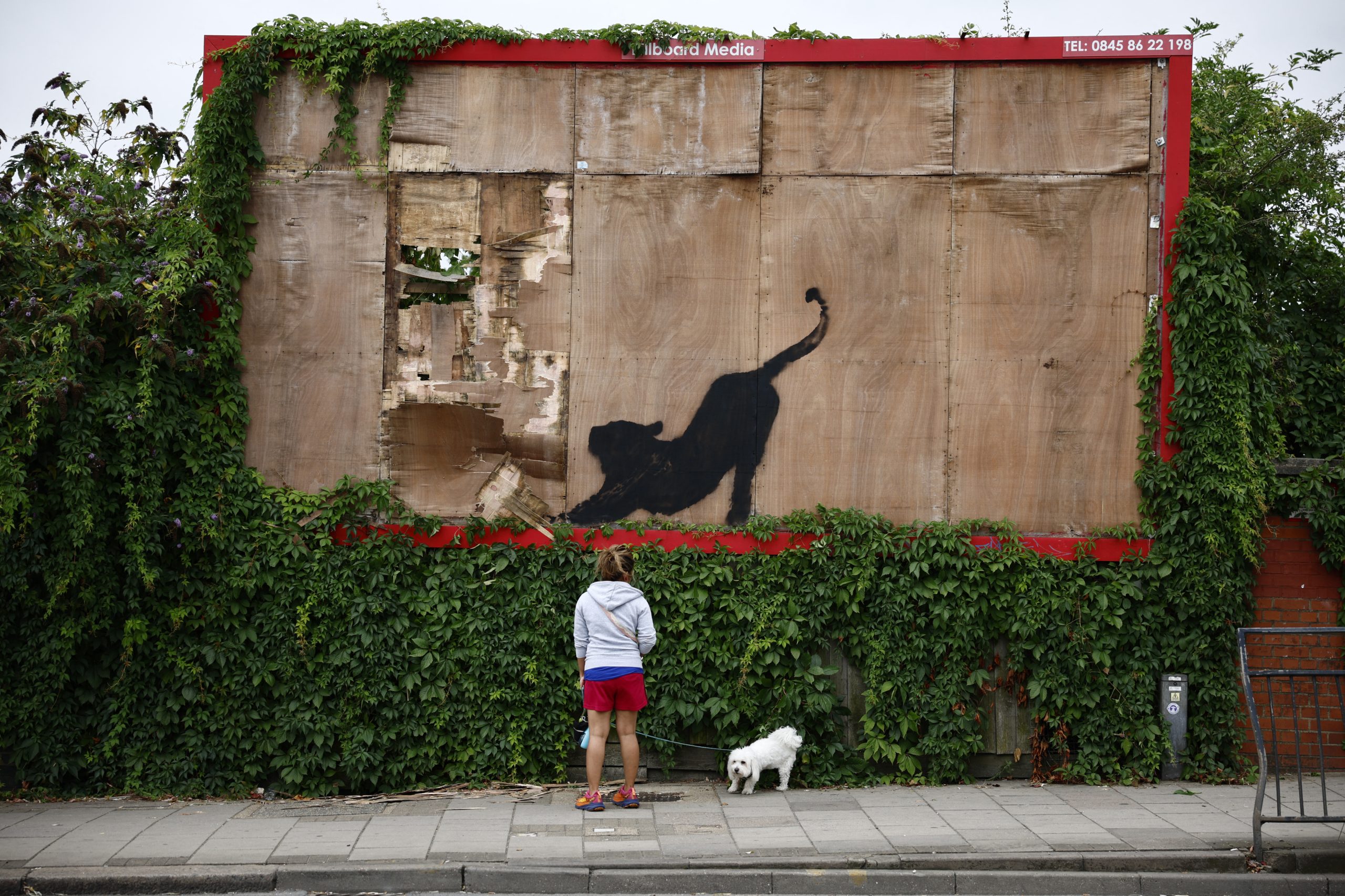 Banksy 