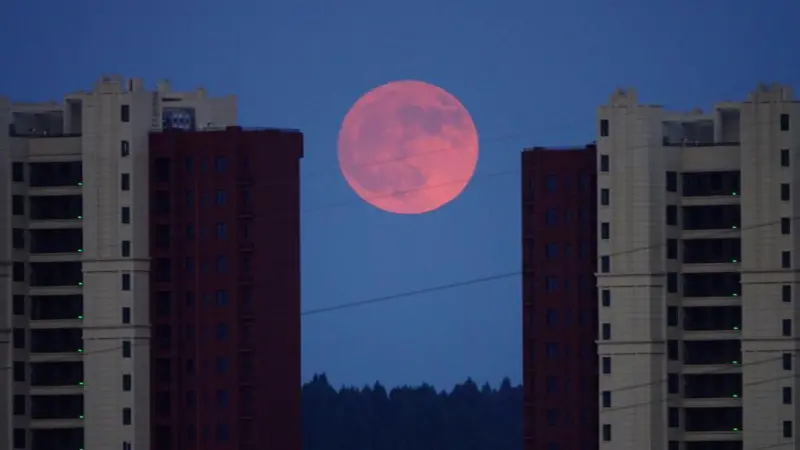 Superluna Fenómeno BBC Mundo 