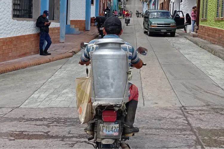 El contrabando de leche desde Colombia afecta la producción en Venezuela