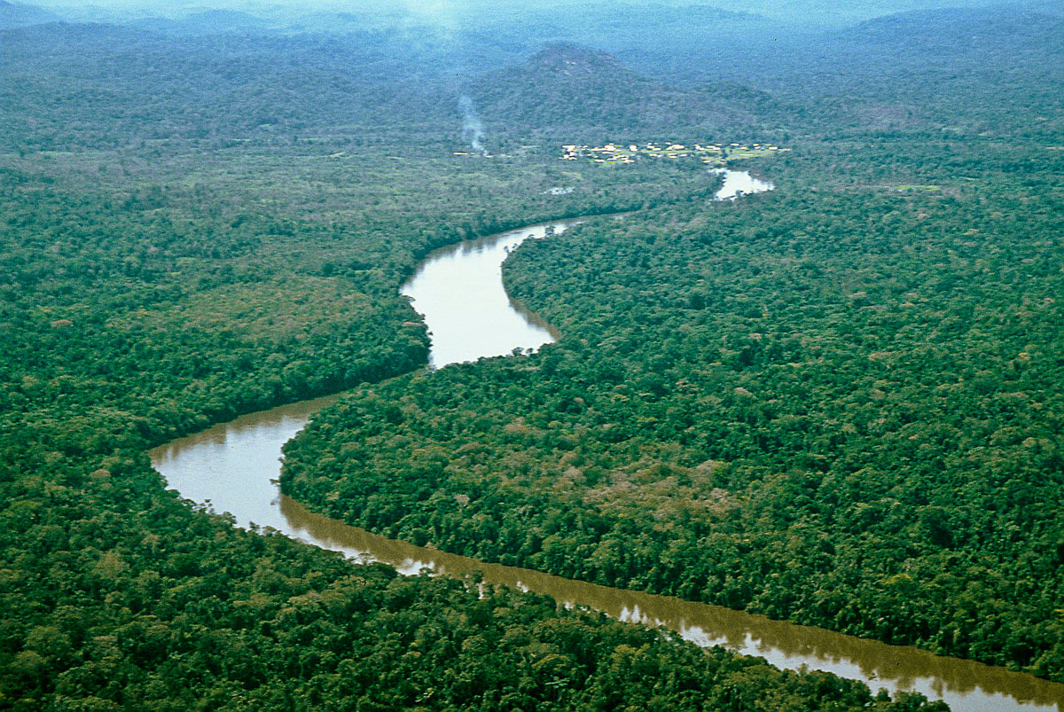 La Amazonía venezolana no se ha visto afectada por incendios en Brasil y Bolivia