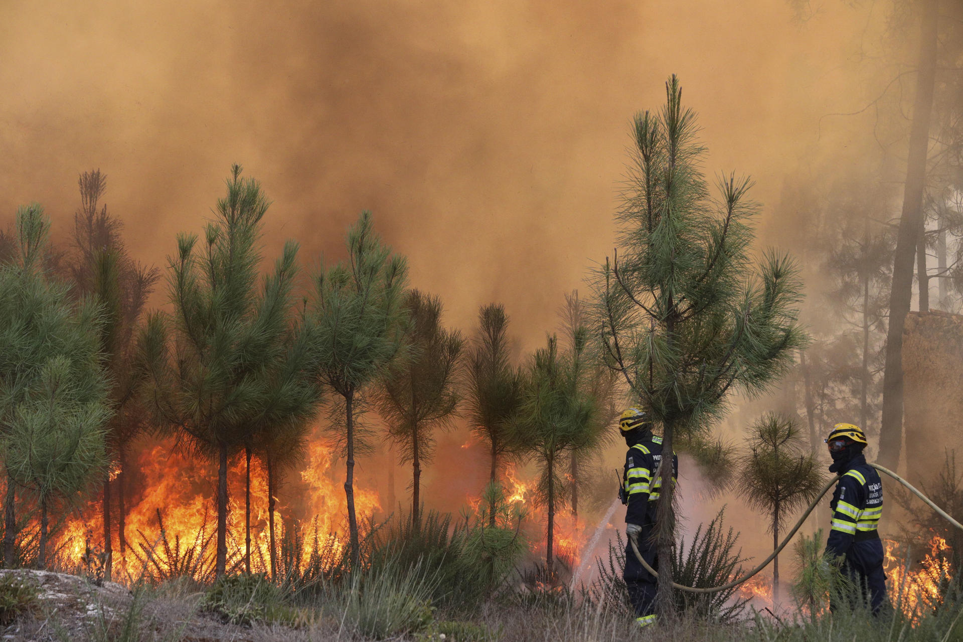 Portugal en calamidad por incendios: siete fallecidos y miles de hectáreas quemadas