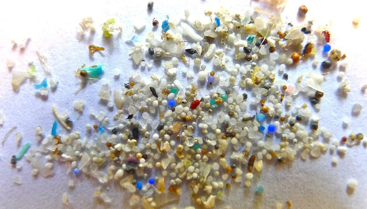 microplasticos