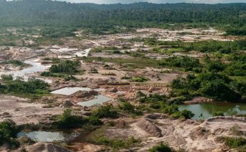 El crimen organizado amplía su control sobre la Amazonía brasileña