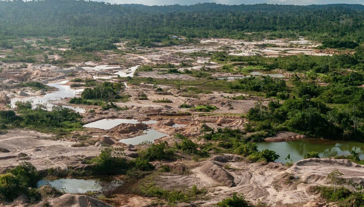 Coca y extracción de oro jaquean la Amazonía