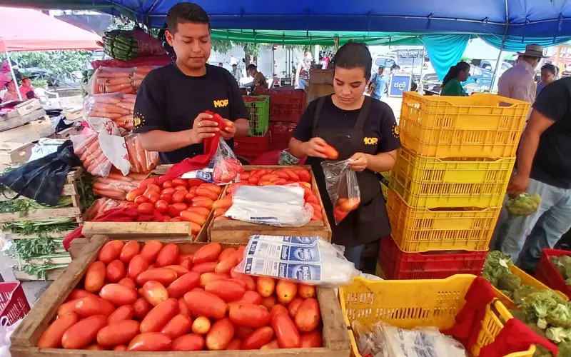 Bukele El Salvador