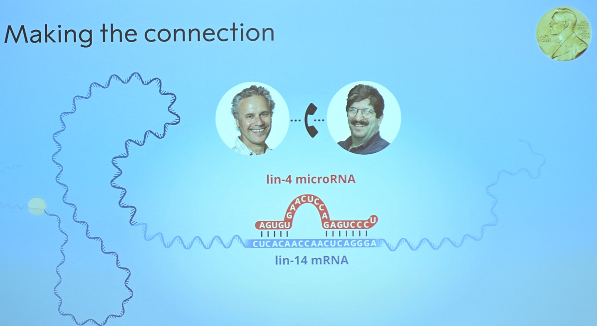 Physiology or medicine Nobel Prize announcement