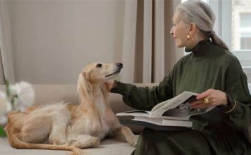 Hablándoles más despacio, los perros entienden mucho mejor