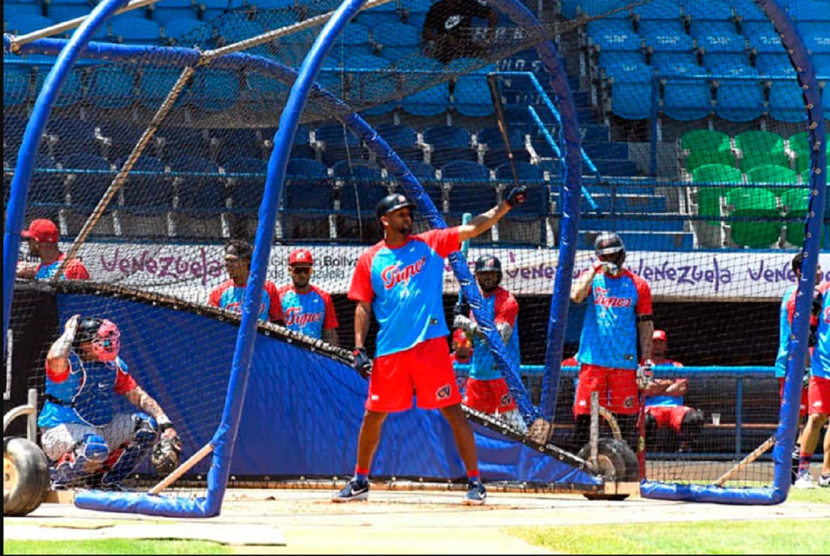 Tigres de Aragua Foto LVBP