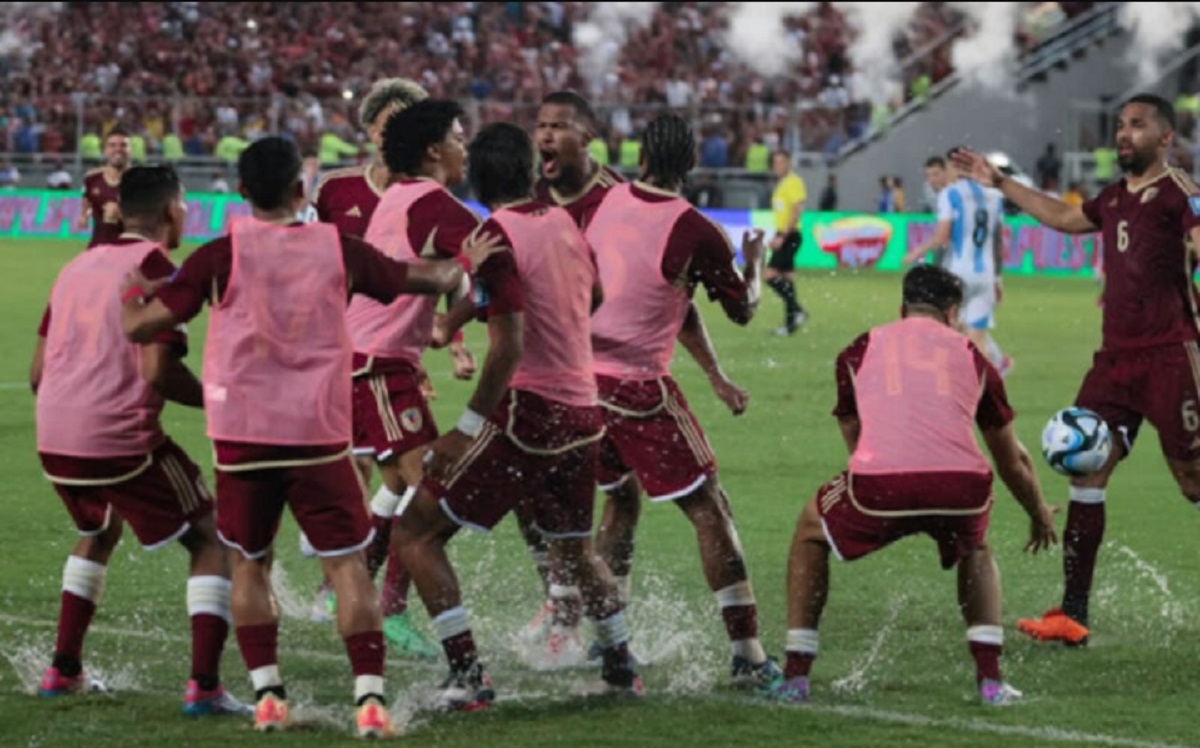 Vinotinto Brasil Foto Archivo