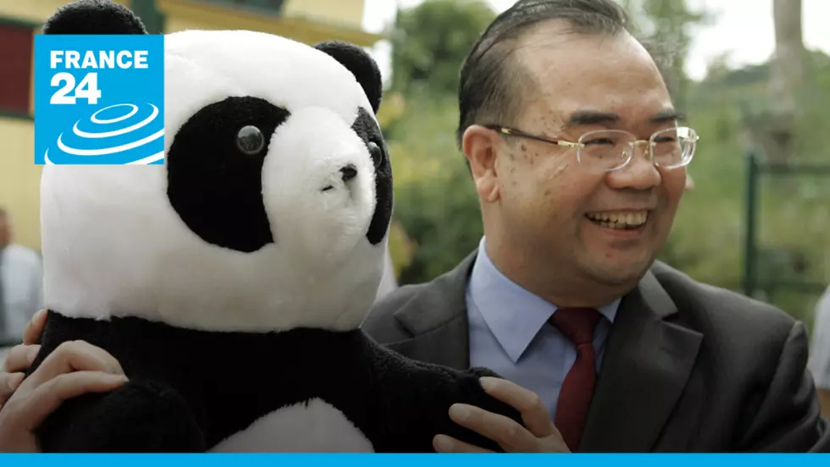 Osos embajadores: ¿cómo funciona la diplomacia del panda en China?