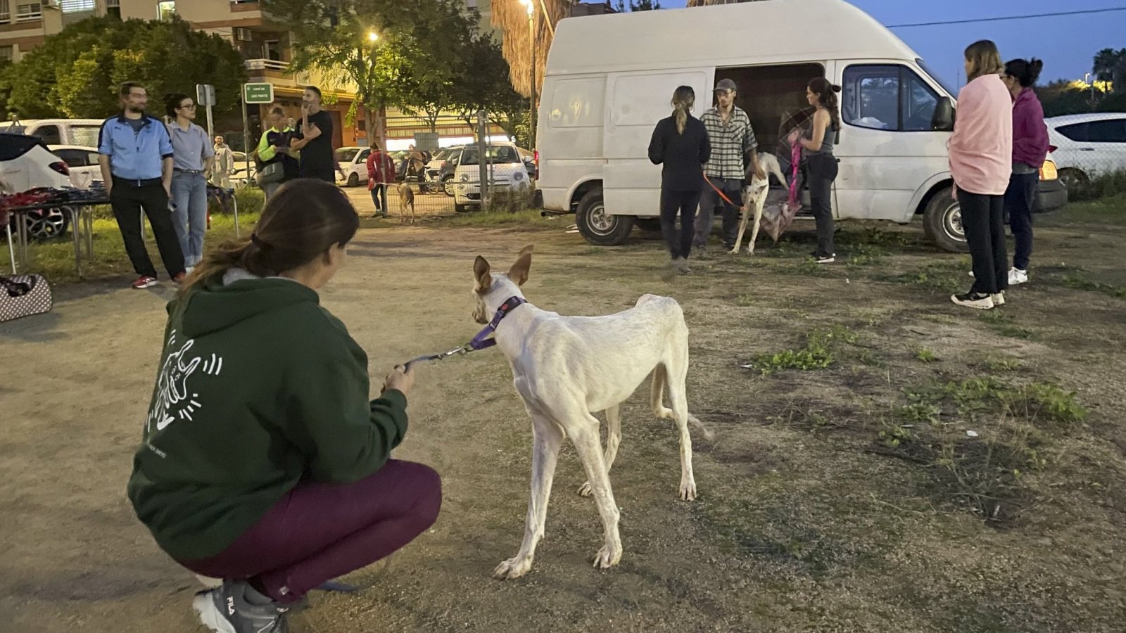 mascotas rescatadas en inundaciones en España