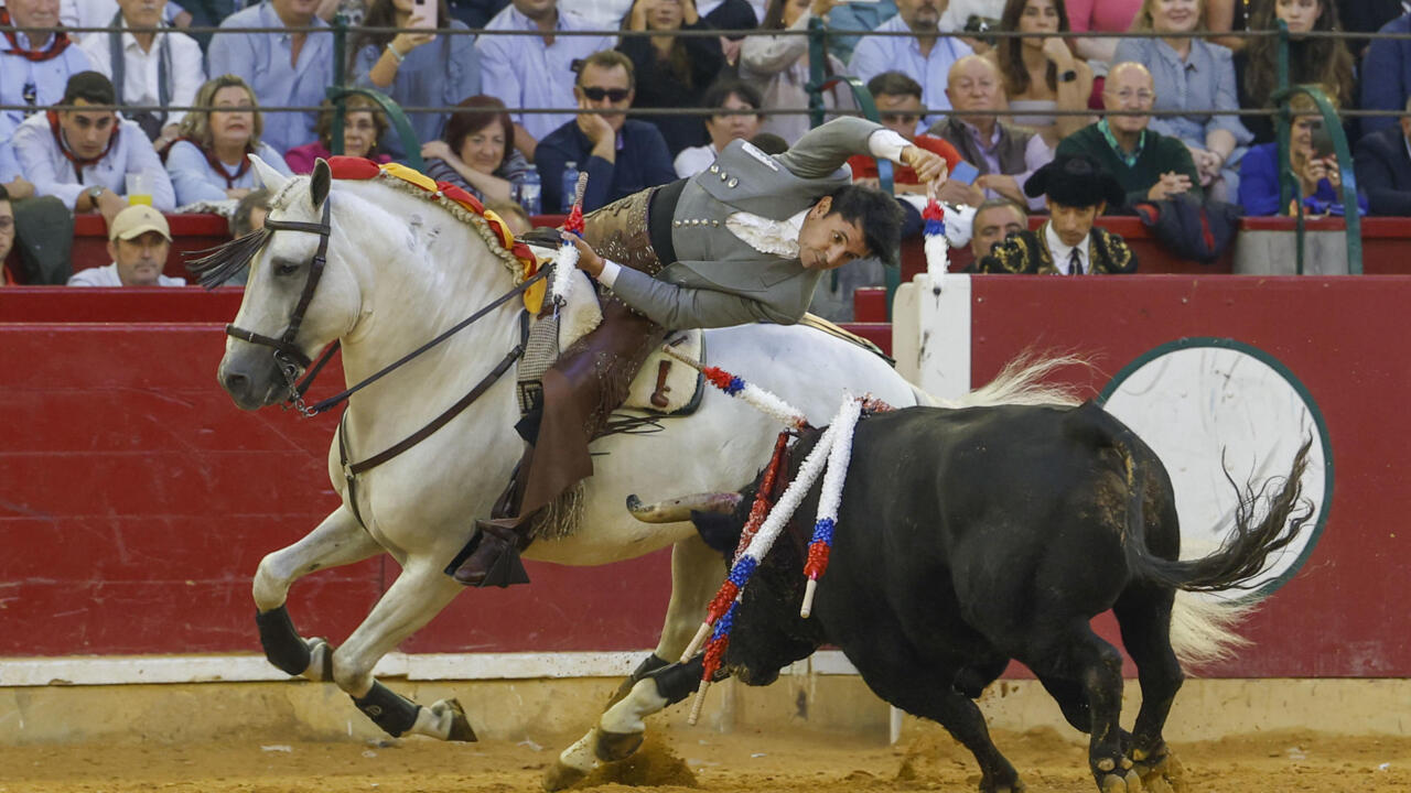 La tauromaquia en España y el eterno debate en torno a la vida animal